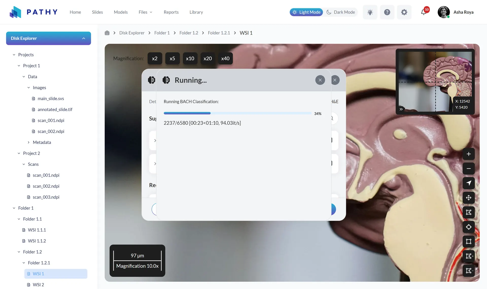Model run progress panel reporting percentage complete, items processed, and estimated time